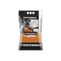 Zanęta GERMINA GRUBA Truskawka 3kg