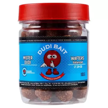 Mister Dudi Wafters