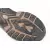 FOX Flip Flop Size 9 / 43