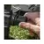 PRESTON INCEPTION 360